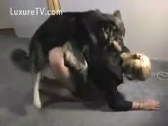 Dick, a ravenous cougar, devouring Schlong as he is struck by a beast from behind